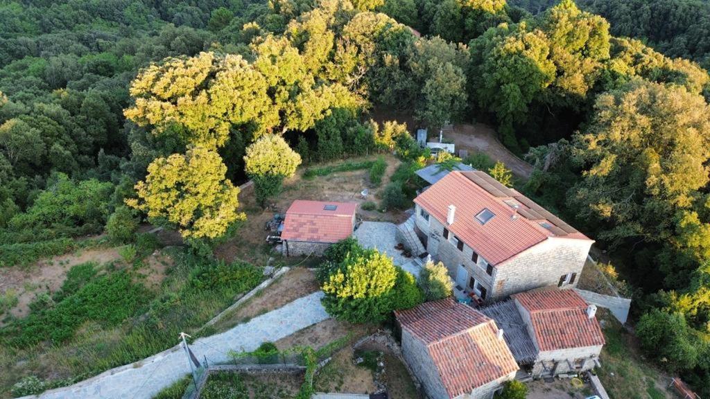 Chez Paulette - Meuble De Tourisme Classe 3 Etoiles ซองซา ภายนอก รูปภาพ