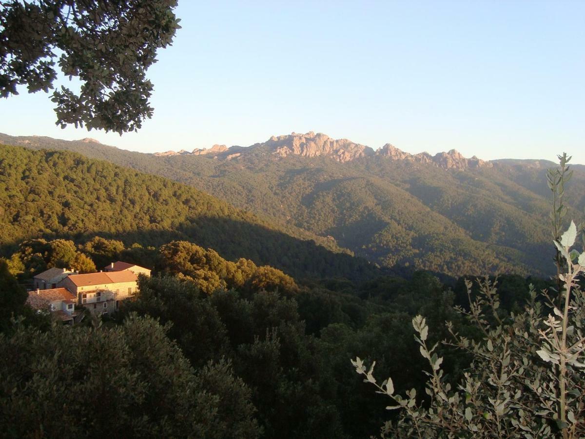 Chez Paulette - Meuble De Tourisme Classe 3 Etoiles ซองซา ภายนอก รูปภาพ